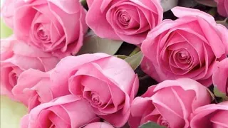 أجمل صور ورد روعه 