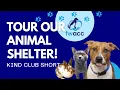 KCS What is Fort Wayne Animal Care Control