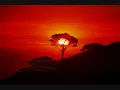 Israel VIbration- The Middle East