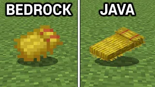 88 Java vs Bedrock Features
