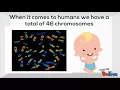 How do we Inherit Traits from our Parents