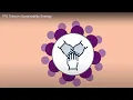 TPG Telecom Sustainability Strategy