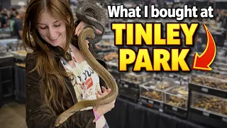 What I d buy at a reptile expo if I had no self control