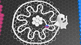 How to play - Hexanaut io Superhex io Map management 100