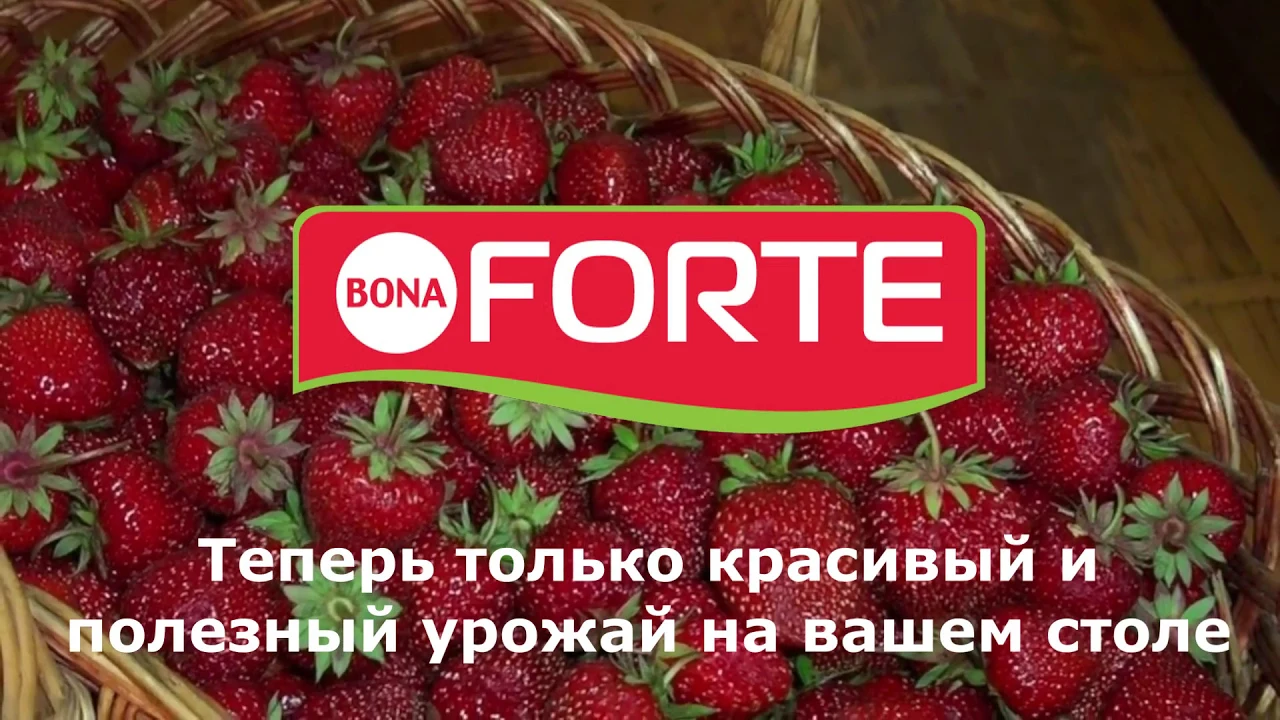 Удобрение комплексное Bona Forte универсальное летнее 1,5 л