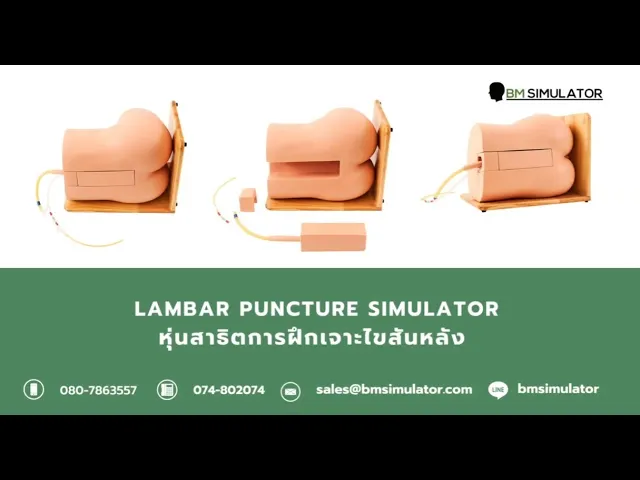 M008 หุ่นฝึกการเจาะน้ำไขสันหลัง LP