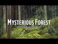 Download Lagu Mysterious Forest | D\u0026D/TTRPG Music | 1 Hour