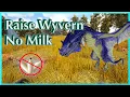 How to Raise Baby Wyvern without Wyvern Milk Ark Fjordur