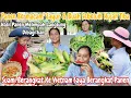 LUAR BIASA TIADA HARI TANPA PANEN‼️PANEN SEMUA YG ADA DI KEBUN SEBELUM HUJAN~SUAMI PERGI KE VIETNAM 