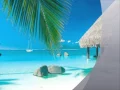Back to My Roots Vol 1 - DJ Tikelz Remixes (Photos Of Fiji in The Clip)