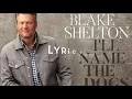 I'll Name The Dogs - Blake Shelton(Lyrics)