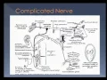 Download Lagu Cranial Nerve Disorders part 2, 1/21/15