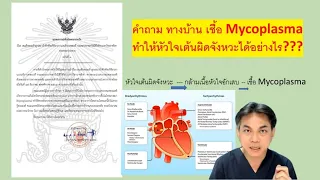แพทย์วินิจฉัยว่ากล้ามเนื้อหัวใจอักเสบจากเชื้อไมโครพลาสมาได้อย่างไร
