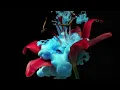 Invincible - Amine