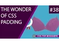 CSS Tutorial For Beginners 38 - Padding