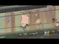 Options For Brooklyn-Queens Expressway Overhaul Under Review