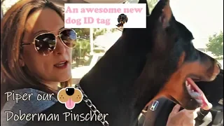 Doberman gets new dog ID tag PetSmart TagWorks
