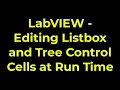 LabVIEW - Editing Listbox and Tree Control Cells at Run Time