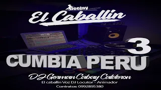 Download MIX LO MEJOR DE LA CUMBIA PERUANA (VIVE PERU) DJ GERMAN CABAY MP3