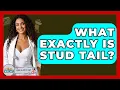 What Exactly Is Stud Tail - Ask A Pet Vet