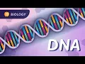 DNA Structure Replication Our Instruction Manual for Existing Crash Course Biology