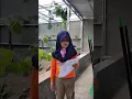 Download Lagu Puisi Ayahku Pahlawanku