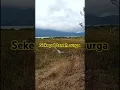 Download Lagu Sekepal tanah surga