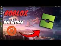 How to install Roblox on Linux in 1 minute 2024