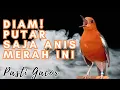 Download Lagu 41 | DIJAMIN !! PASTI IKUT BUNYI !! SUARA ANIS MERAH GACOR PANCINGAN TERCEPAT BIKIN BUNYI GACOR