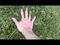 Download Lagu Touching grass for the first time...