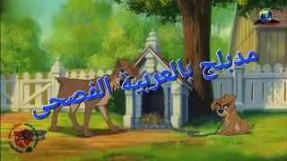 مقطع من فيلم النبيلة والشار الجزء الثاني شارد يحاول ان يحمي ولده من الشارع مدبلج بالعربية الفصحى 