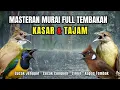 Lagu Masteran FULL Tembakan KASAR dan Tajam Kapas Tembak, Cililin, Cucak Jenggot, Cucak Cungkok