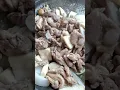 Download Lagu Korean Grilled Duck In A Stone Pan