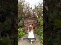 Download Lagu Stepping into a secret heaven ! Sari Timbul.#balibliss #balitravel #travelvlog #hiddenspotsofbali
