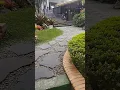 Download Lagu ide jalan setapak di taman
