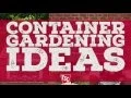 Container Gardening Ideas from your local Tractor Supply Store