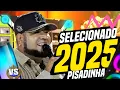 Download Lagu PISEIRO ATUALIZADO 2025 - MELHORES DO BARÕES DA PISADINHA NOVAS 2025 PISADINHA PRA PAREDÃO 2025