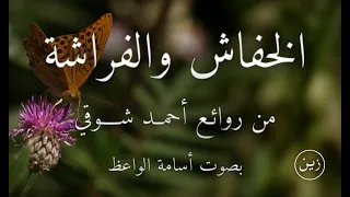 الخفاش والفراشة   مرت على الخفاش مليكة الفراش   قصيدة من روائع أحمد شوقي بصوت أسامة الواعظ دندنها