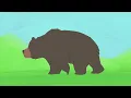 Pé de Sonho | Urso