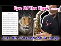 Download Lagu 【Eye Of The Tiger (Survivor)】Alto Saxophone Standard Jazz Improvisation