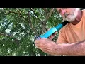 Download Lagu Incredible combination tool! Battery powered Mini-chainsaw/pole saw