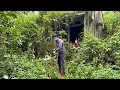 Single mother shocked as secret revealed inside overgrown house | deep satisfaction cleaning