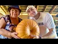 Download Lagu WOW! WE COOKING PINAKBET IN RUSSIA! We Missing Filipino Cusine! 