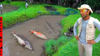 My Pet Giant FISH Backyard River was DESTROYED by a MUD STORM!