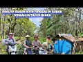 Download Lagu Suasana Syahdu Pelosok Desa Antara Gubuk Tengah Hutan \u0026 Panen Jagung Tradisional Di Blora