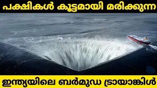 mass suicide of birds in jatinga valley of mysteries youtube storify trending afluworld facts