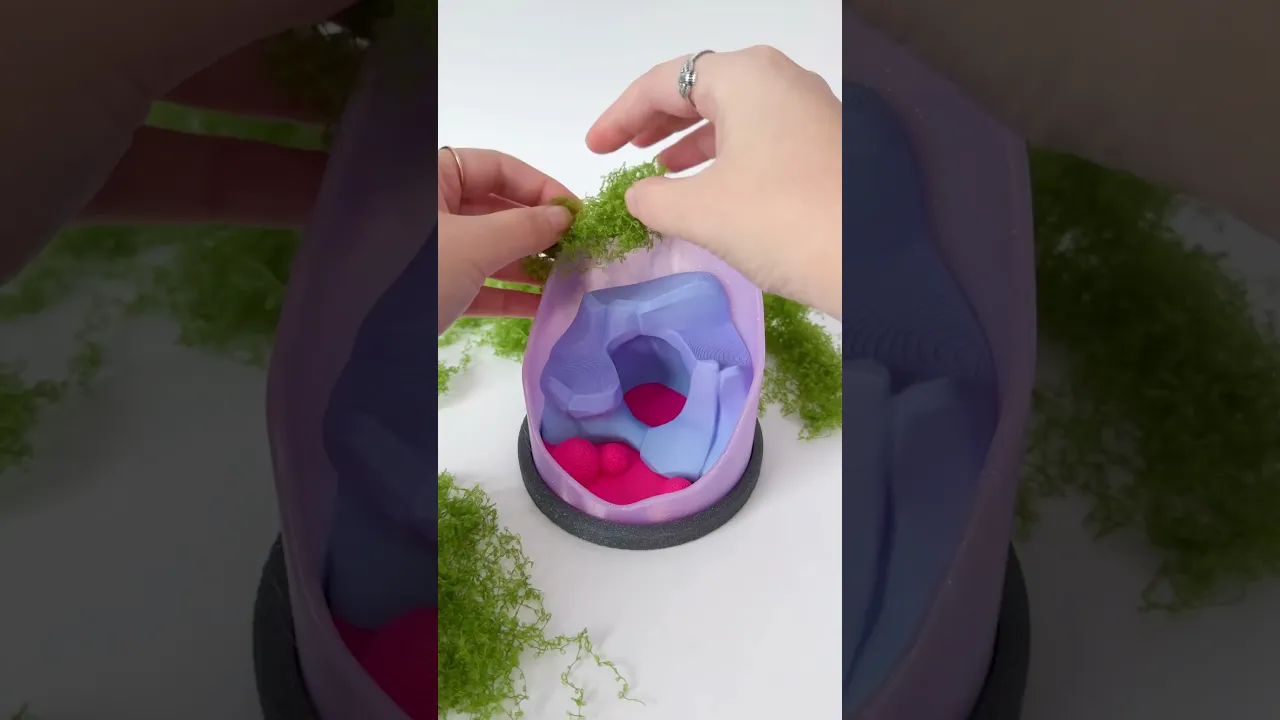 Isopods and Terrarium video thumbnail