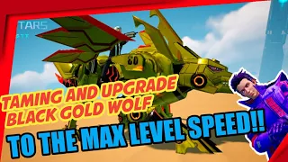 full upgrade black gold wolf dan cara taming project stars indonesia part 10