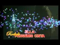 Ella - Pengemis Cinta. (Live 1989)