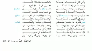 شرح نص هوى الغواني ابن الأب ار 3 آداب 